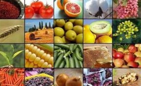 ابلاغ فهرست استثنائات ممنوعیت صادرات برخی کالاهای کشاورزی
