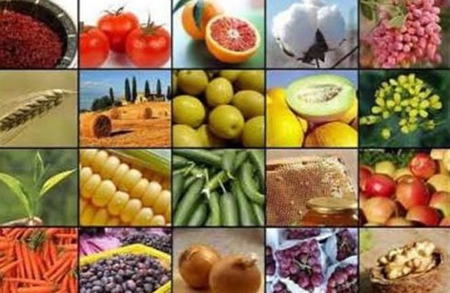 ابلاغ فهرست استثنائات ممنوعیت صادرات برخی کالاهای کشاورزی
