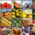 ابلاغ فهرست استثنائات ممنوعیت صادرات برخی کالاهای کشاورزی
