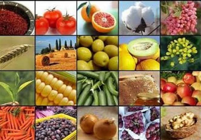 ابلاغ فهرست استثنائات ممنوعیت صادرات برخی کالاهای کشاورزی